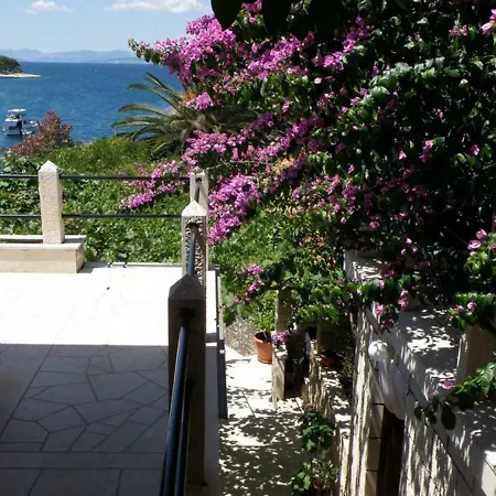 Apartment Danijela - Sea View